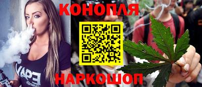крисы Гатчина