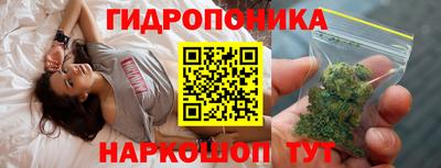 крисы Гатчина