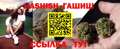 крисы Гатчина