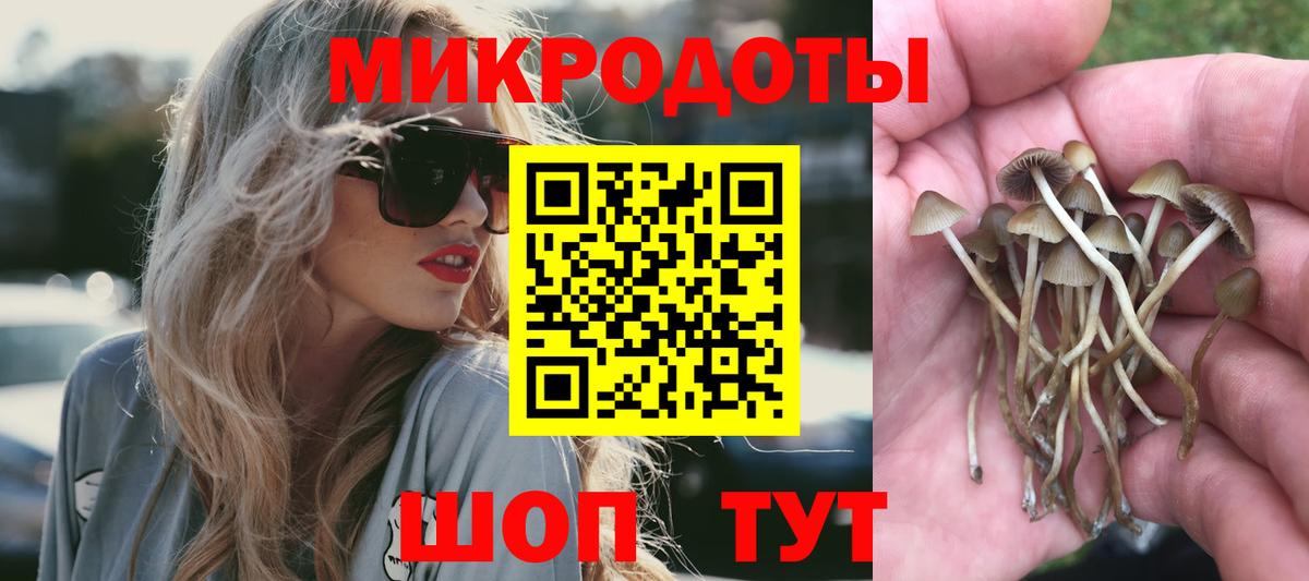 Галлюциногенные грибы Cubensis Нефтекумск